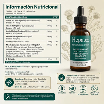 Hepatex® | Restauración Hepática™ — bajá tus enzimas hepáticas